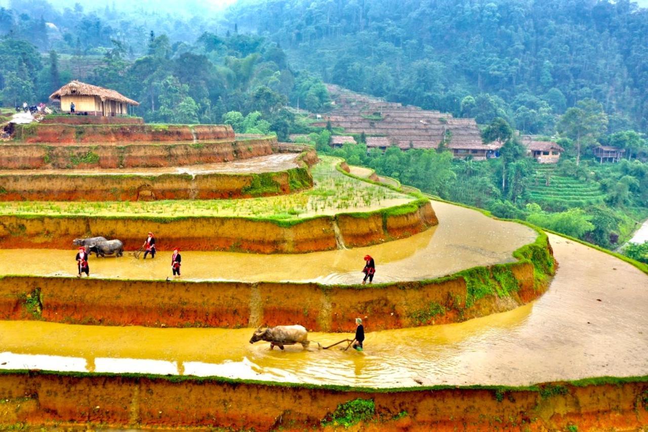 Hoang Su Phi Bungalow 외부 사진