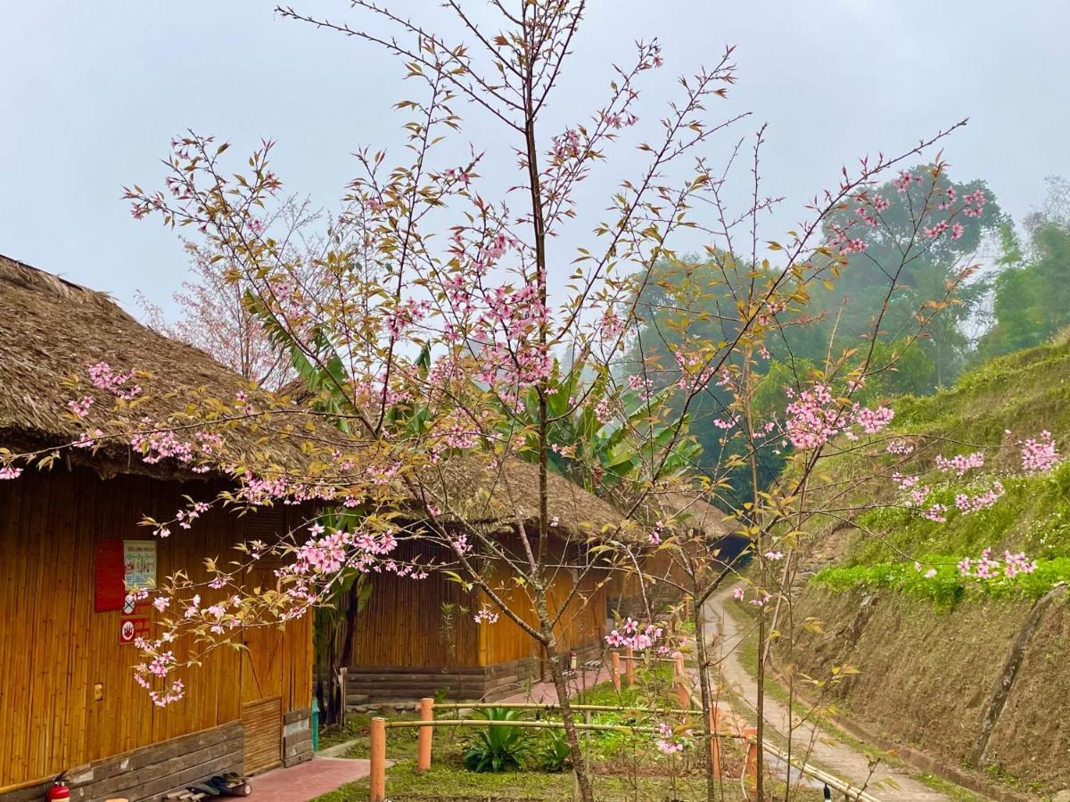 Hoang Su Phi Bungalow 외부 사진